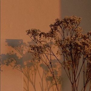 Meet your Posher, Quinnly